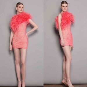 NWT | Bronx & Banco LuLu Mini Dress in Feathered Sequinned Mesh Size XS